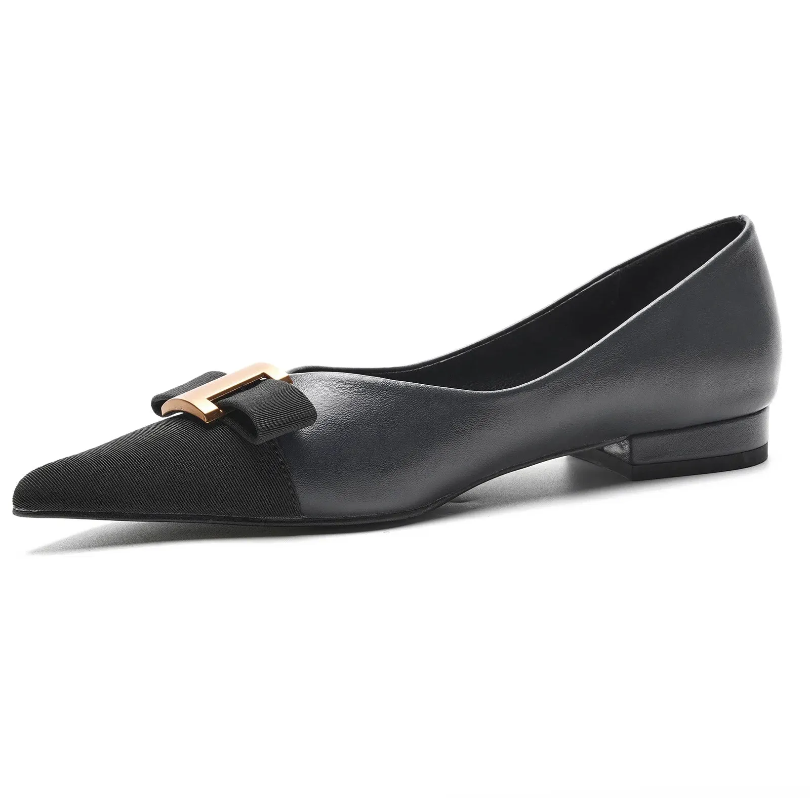 Pointed Toe Metal Tie Flats (Aida)
